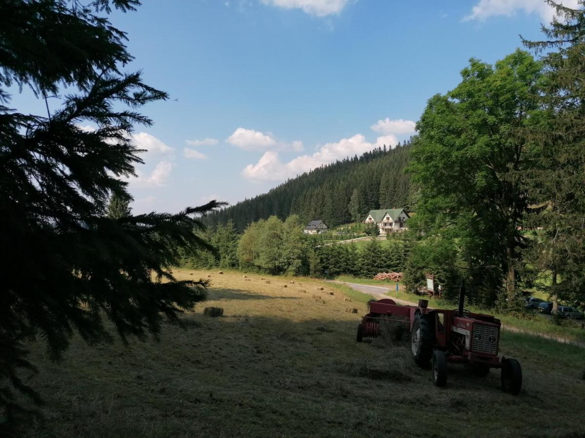 Gosciniec Janowa Gora - Agroturystyka สโตรเนีย ชล็องสเกีย ภายนอก รูปภาพ