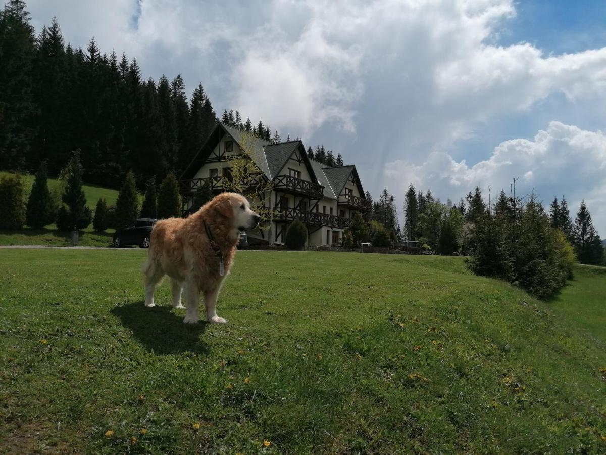 Gosciniec Janowa Gora - Agroturystyka สโตรเนีย ชล็องสเกีย ภายนอก รูปภาพ